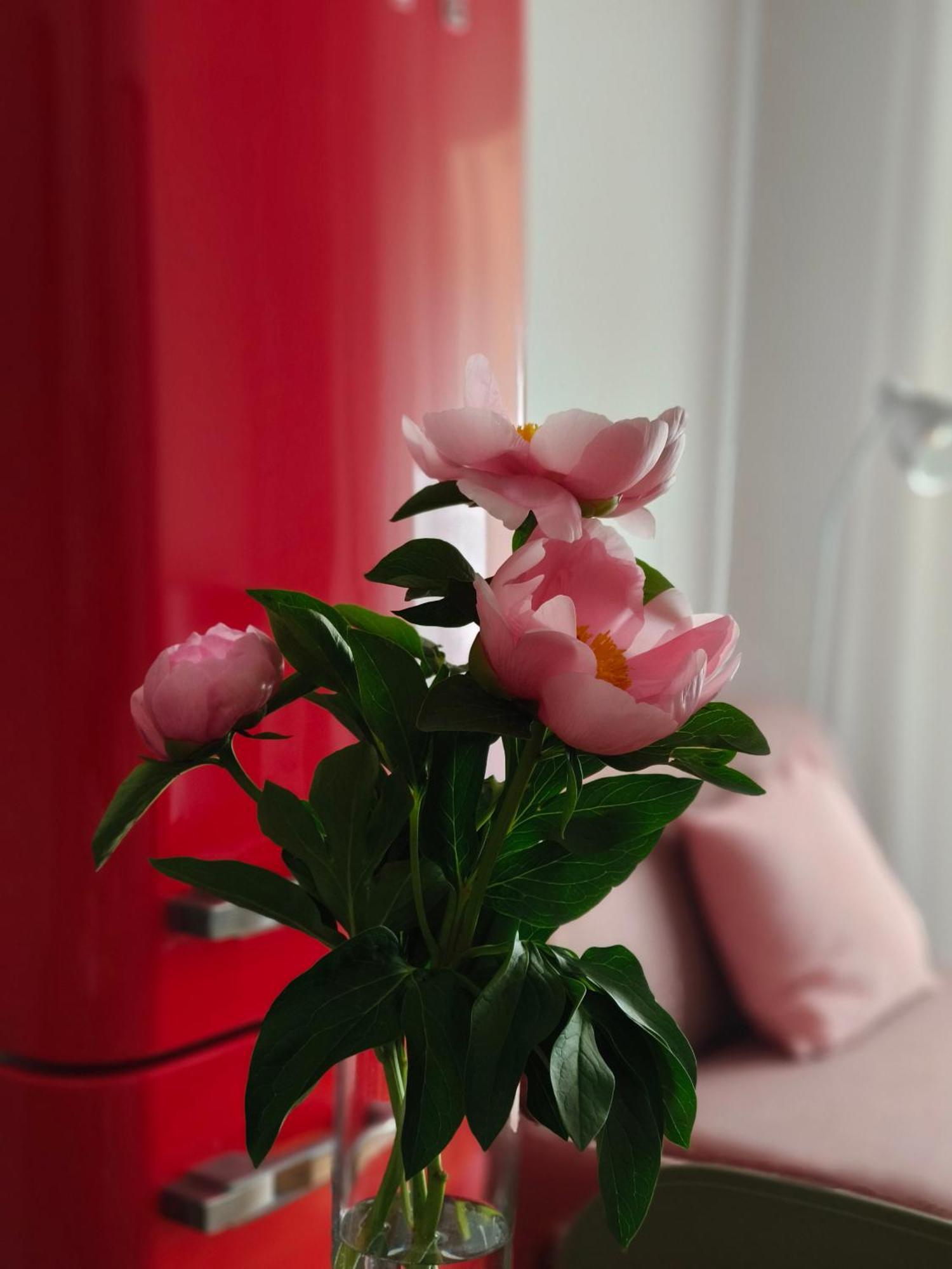 Fluere Apartment Bologna Bagian luar foto
