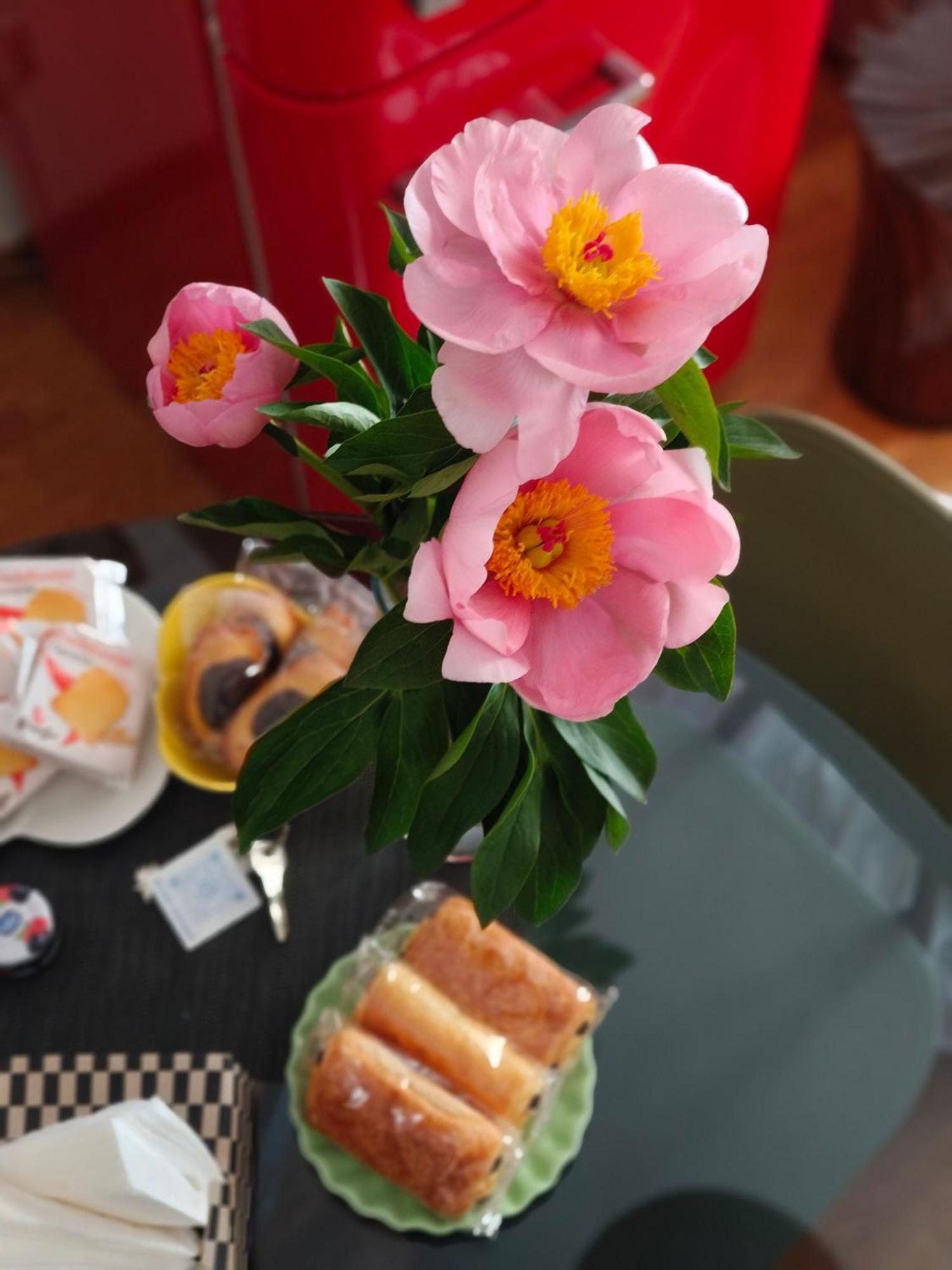 Fluere Apartment Bologna Bagian luar foto
